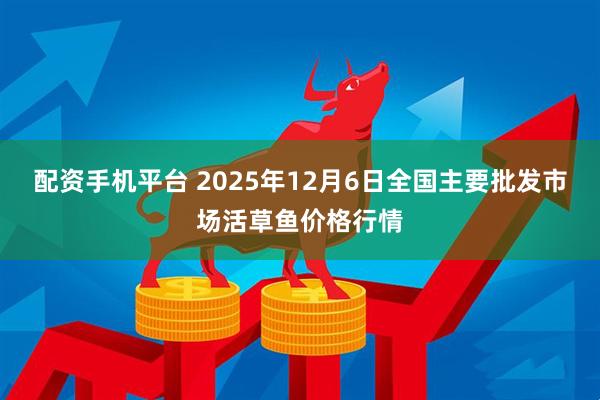 配资手机平台 2025年12月6日全国主要批发市场活草鱼价格行情