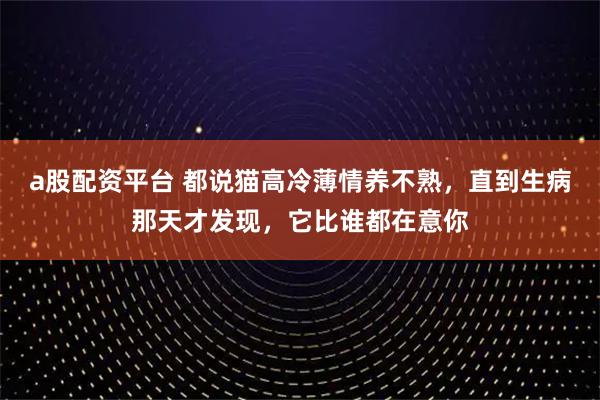 a股配资平台 都说猫高冷薄情养不熟，直到生病那天才发现，它比谁都在意你