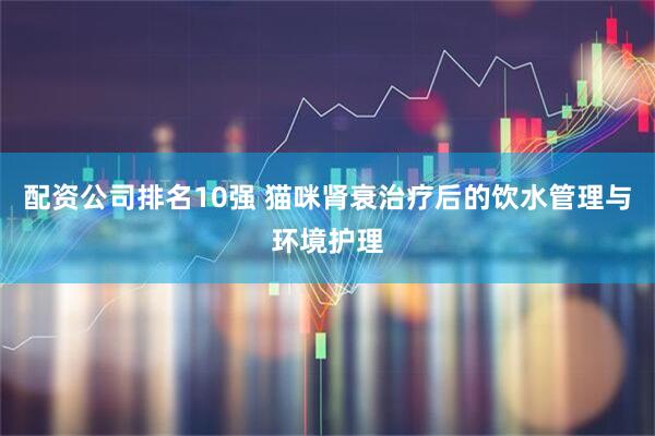 配资公司排名10强 猫咪肾衰治疗后的饮水管理与环境护理