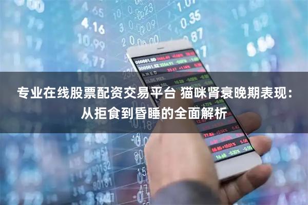 专业在线股票配资交易平台 猫咪肾衰晚期表现：从拒食到昏睡的全面解析