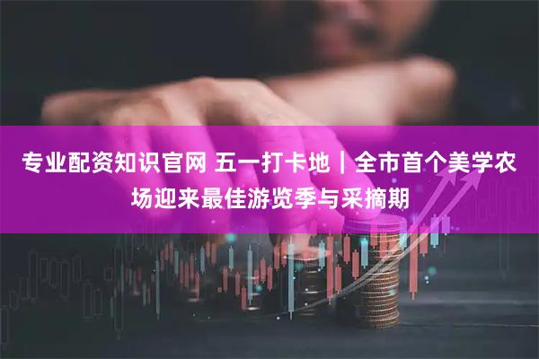 专业配资知识官网 五一打卡地｜全市首个美学农场迎来最佳游览季与采摘期